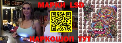 мяу мяу мука Будённовск