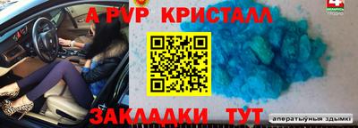 мяу мяу мука Будённовск