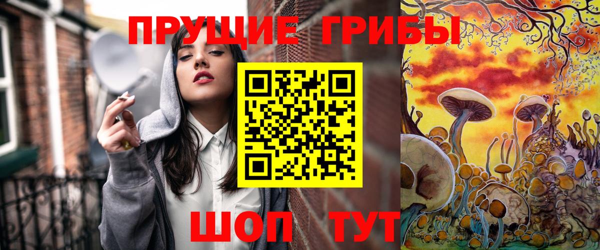 Галлюциногенные грибы GOLDEN TEACHER  Псилоцибиновые грибы Psilocybe  купить   Вход с VPN  Пушкино 